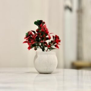 a small potted plants on the table