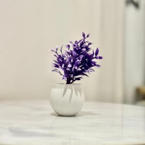 a small potted plants on the table