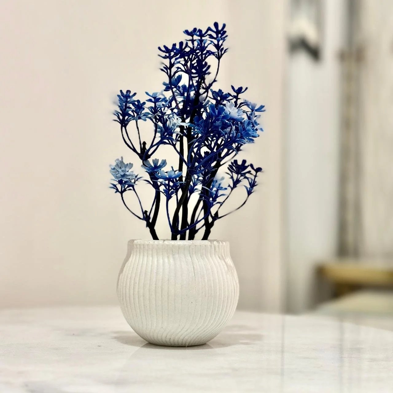 a small potted plants on the table