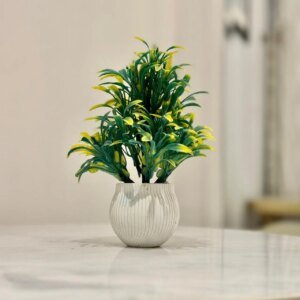 a small potted plants on the table